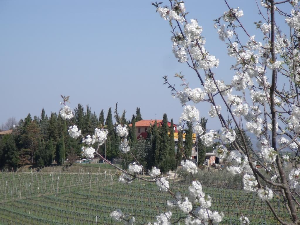 Agriturismo Casa Alle Vacche San Gimignano Exterior foto